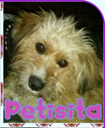 Petisita <3